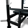        BRONZE GYM PARTNER ML-902  ARMS - V-SPORT   ARMSSPORT