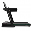   BRONZE GYM WALKWAY    - V-SPORT   ARMSSPORT