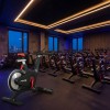 ���������� ������������ PREMIER PROF-M ����-���� ���������������� �������� - V-SPORT ��������� ���� ARMSSPORT