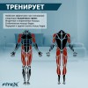 ���������� ������������ PREMIER PROF-M ����-���� ���������������� �������� - V-SPORT ��������� ���� ARMSSPORT