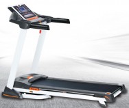    Fitex Deluxe s-dostavka - V-SPORT   ARMSSPORT