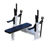 ���������������� ������� �������� ������ ��� ���� ���� Sabirgym SG010 arms - V-SPORT ��������� ���� ARMSSPORT
