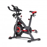  Schwinn 800IC - IC8 100893 - V-SPORT   ARMSSPORT