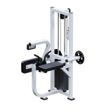 ������� �������� ��� ��������� ������ +������� + ����� Sabirgym SGINVAR056 - V-SPORT ��������� ���� ARMSSPORT