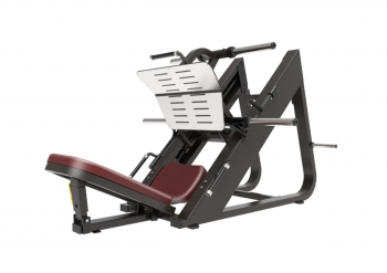     45     Protrain BPL156   vasil-gym - V-SPORT   ARMSSPORT