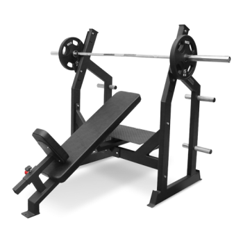 BRONZE GYM AL-305      - V-SPORT   ARMSSPORT