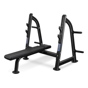 BRONZE GYM BR-1012     - V-SPORT   ARMSSPORT