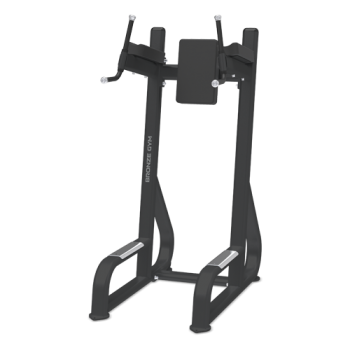 BRONZE GYM BR-1016 / - V-SPORT   ARMSSPORT