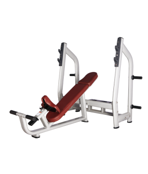 BRONZE GYM H-025       - V-SPORT   ARMSSPORT