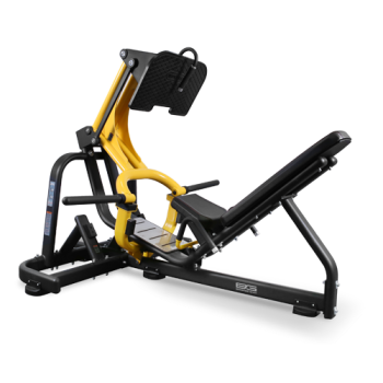 BRONZE GYM PL-1705   - V-SPORT   ARMSSPORT