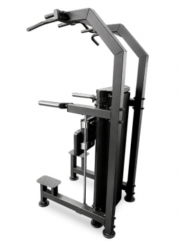 ��������� ���� 100 �� BRONZE GYM PARTNER ML-323 ���������������� ������� �������� sportsman - V-SPORT ��������� ���� ARMSSPORT
