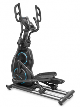 ������������� �������� �������� OXYGEN FITNESS MULBERRY ���������������� ���������������� - V-SPORT ��������� ���� ARMSSPORT