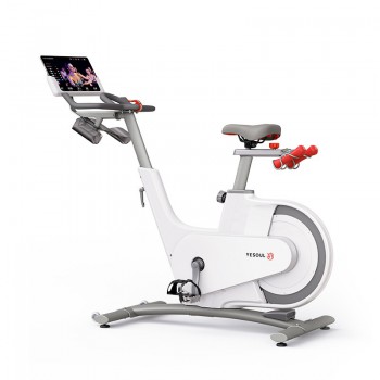 ������������ YESOUL Smart Spinning bike V1 ����� V1 WHITE ����-���� - V-SPORT ��������� ���� ARMSSPORT