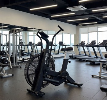 P-8A PROF ���������������� �������� Fitex Pro PREMIER-8A PROF ����� - V-SPORT ��������� ���� ARMSSPORT
