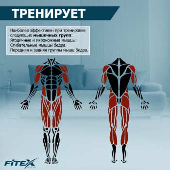 ���������� ������������ PREMIER PROF-M ����-���� ���������������� �������� - V-SPORT ��������� ���� ARMSSPORT