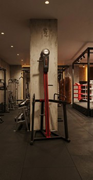 P-9A PROF ������������������� �������� (�������) FITEX PRO PREMIER-9A PROF ����������������  - V-SPORT ��������� ���� ARMSSPORT